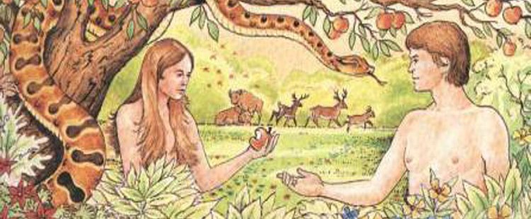 Qualche riflessione su Eva