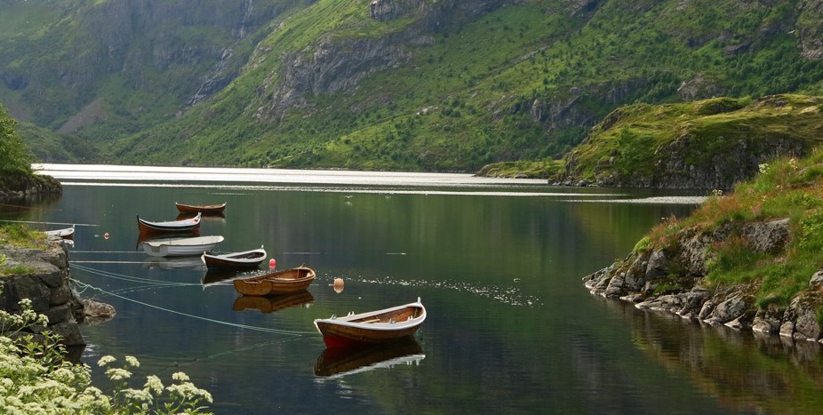 Norway, Impressioni 2001