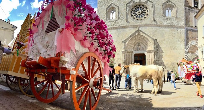 Larino e la carrese dei fiori